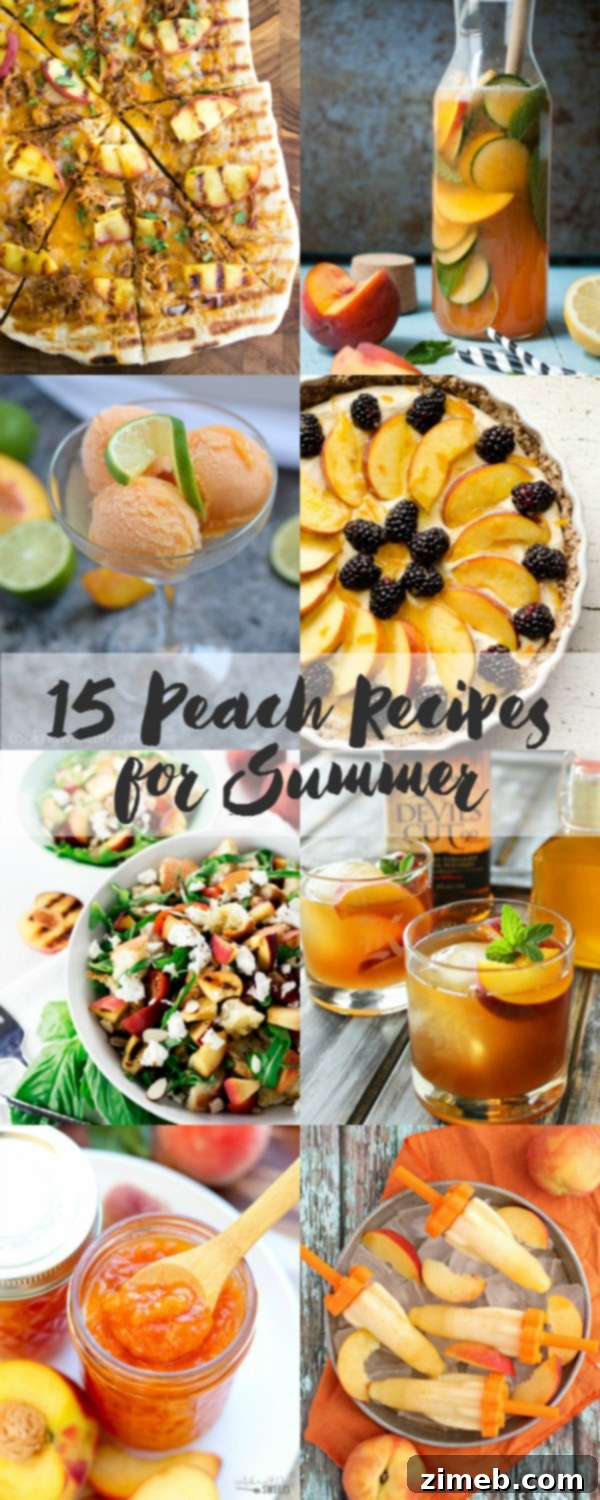 Peachwood Palmer 10 A vibrant collection of various peach-themed recipes, from sweet desserts to refreshing drinks, showcasing the versatility of peaches.