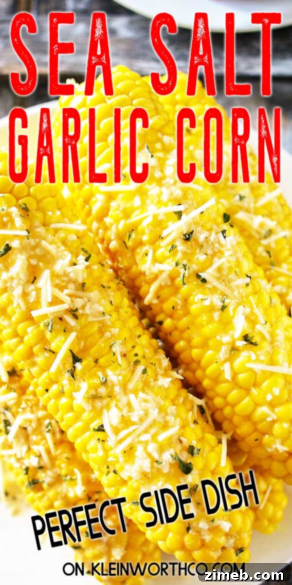 Recipe for Sea Salt Garlic Corn
