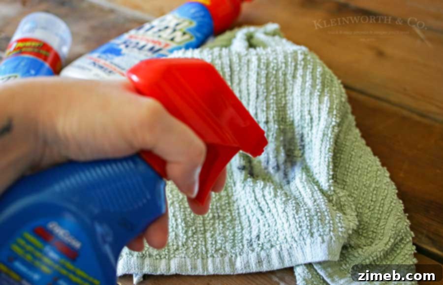Removing Stubborn Berry Stains with OxiClean Spray