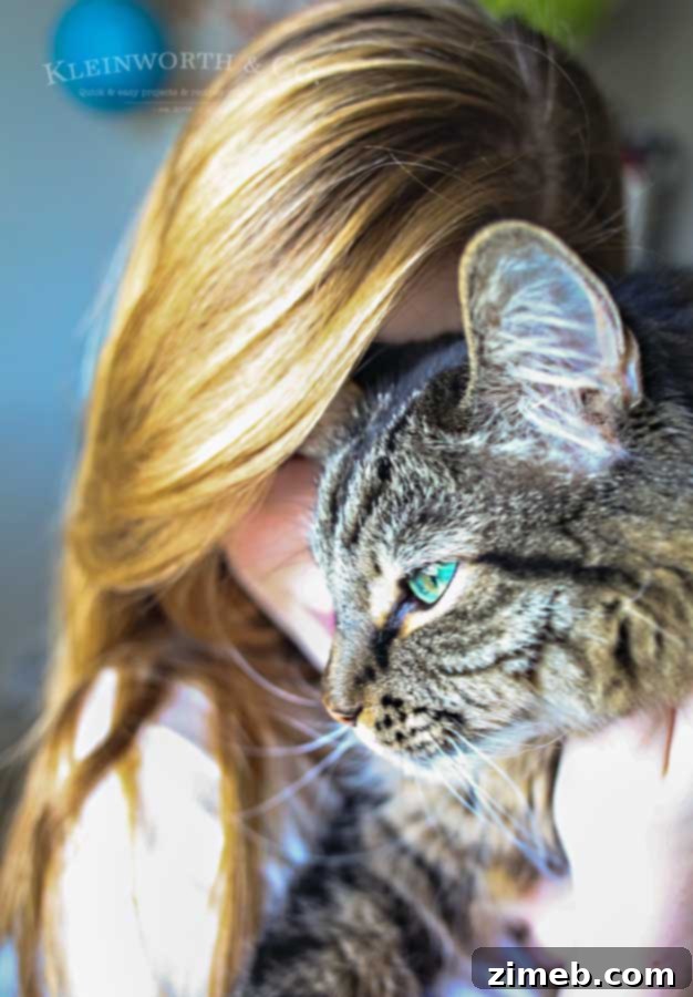 The Art of Pampering Your Feline Friend 4 Gunther - Caring for Cats : How to Spoil a Cat