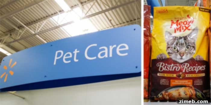 The Art of Pampering Your Feline Friend 8 Where to buy- Caring for Cats : How to Spoil a Cat