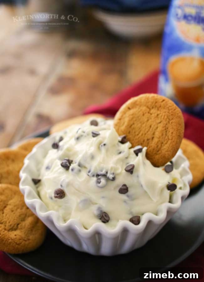 Chocolate Chip Dessert Dip