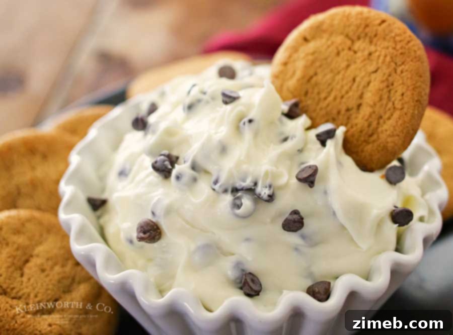 Chocolate Chip Dessert Dip