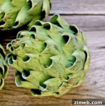 Quick & Easy Instant Pot Artichoke
