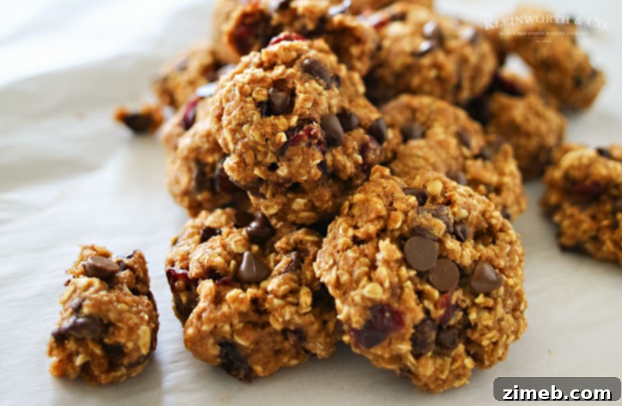 Sweet and Tart Cranberry Chocolate Chip Oatmeal Cookies 2 Cranberry Chocolate Chip Cookies