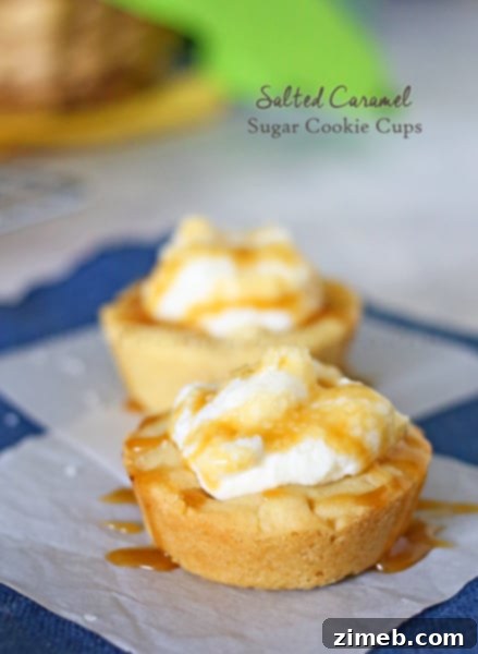 Sweet and Tart Cranberry Chocolate Chip Oatmeal Cookies 6 Salted Caramel Sugar Cookie Cups