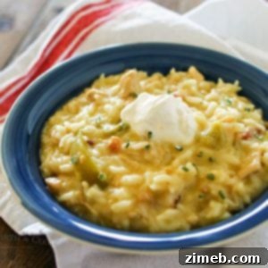 Slow Cooker Fajita Chicken & Rice recipe card image