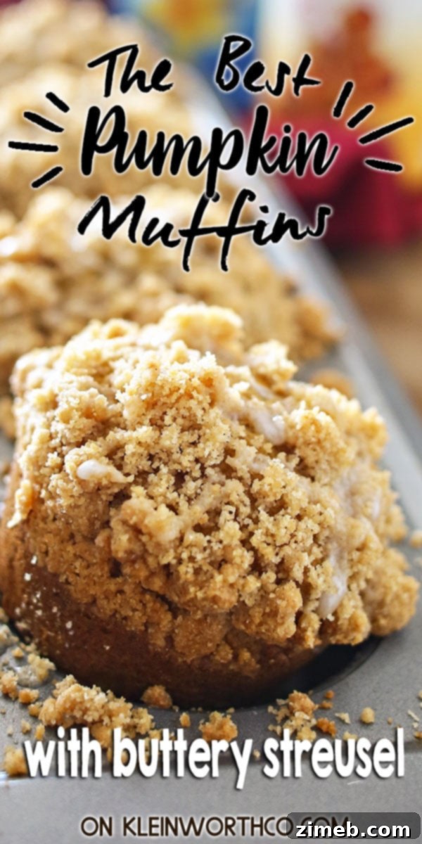 Crumble-Topped Pumpkin Harvest Muffins 2 Delicious Pumpkin Streusel Muffins ready for a fall breakfast