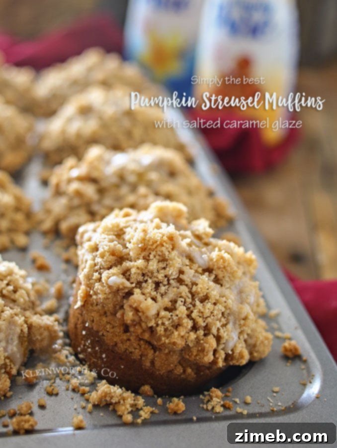 Crumble-Topped Pumpkin Harvest Muffins 7 Best way to store Pumpkin Streusel Muffins for freshness