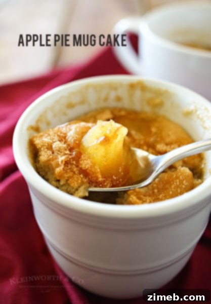 Apple Pie Mug Cake