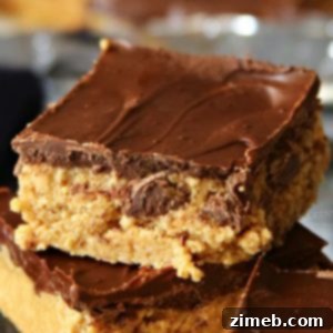 Java Peanut Butter Delights 4 Coffee Peanut Butter Bars
