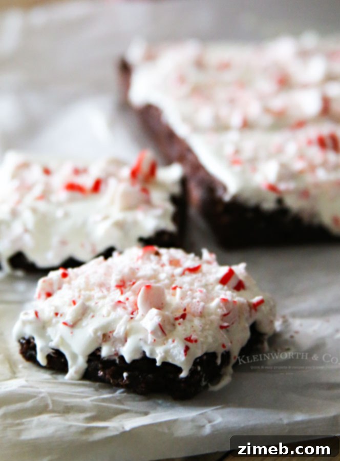 Close-up of Fudgy Peppermint Mocha Brownies with Frosting