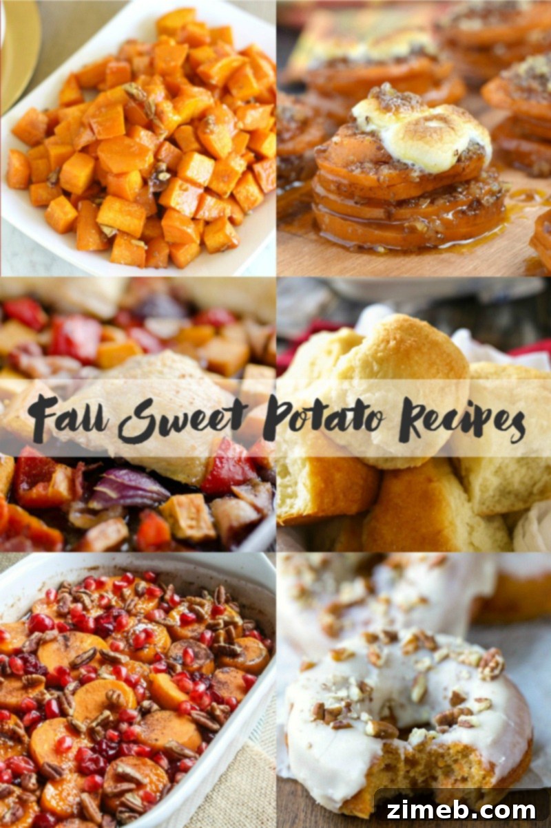 Golden Sweet Potato Buns 8 Fall Sweet Potato Recipes