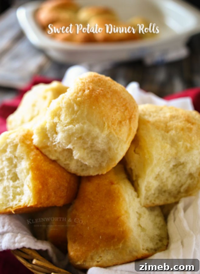 Golden Sweet Potato Buns 4 Sweet Potato Dinner Rolls