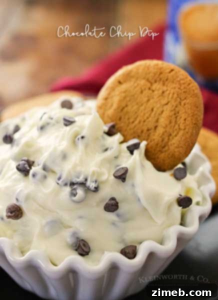 Chocolate Chip Dessert Dip with dippers