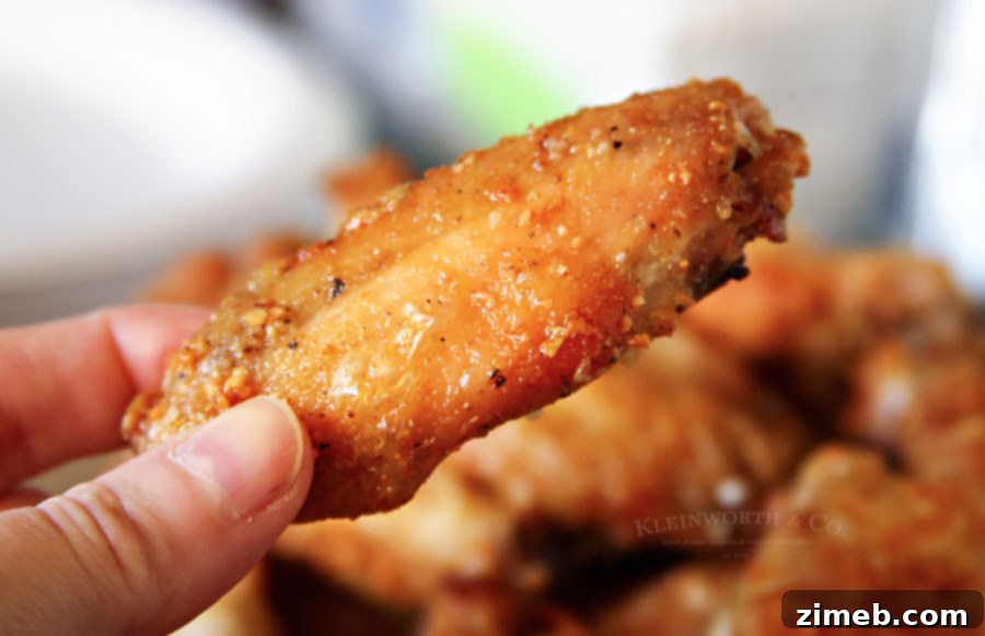 Garlic Parmesan Chicken Wings & Drumettes - a super easy baked recipe