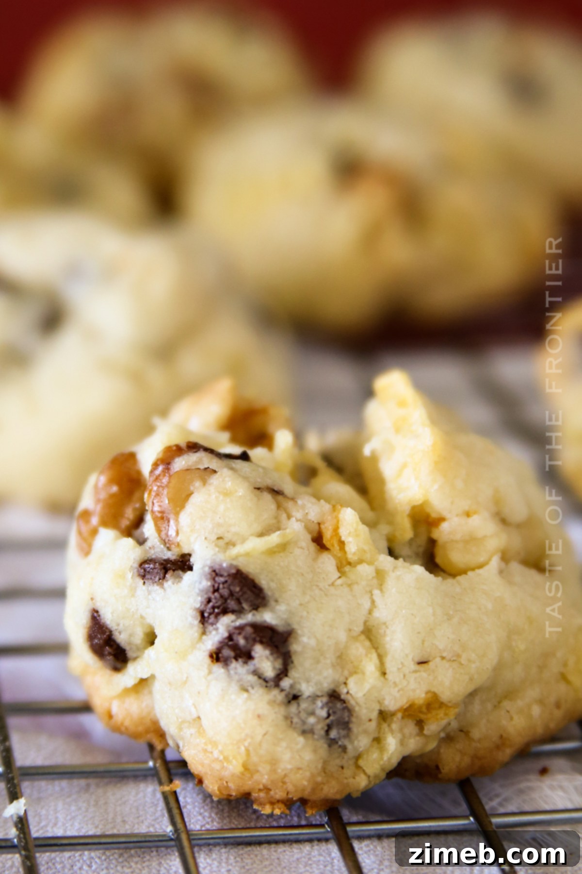 Salty-Sweet Walnut Chip Bliss 6 Platter of freshly baked Potato Chip Cookies ready to be served