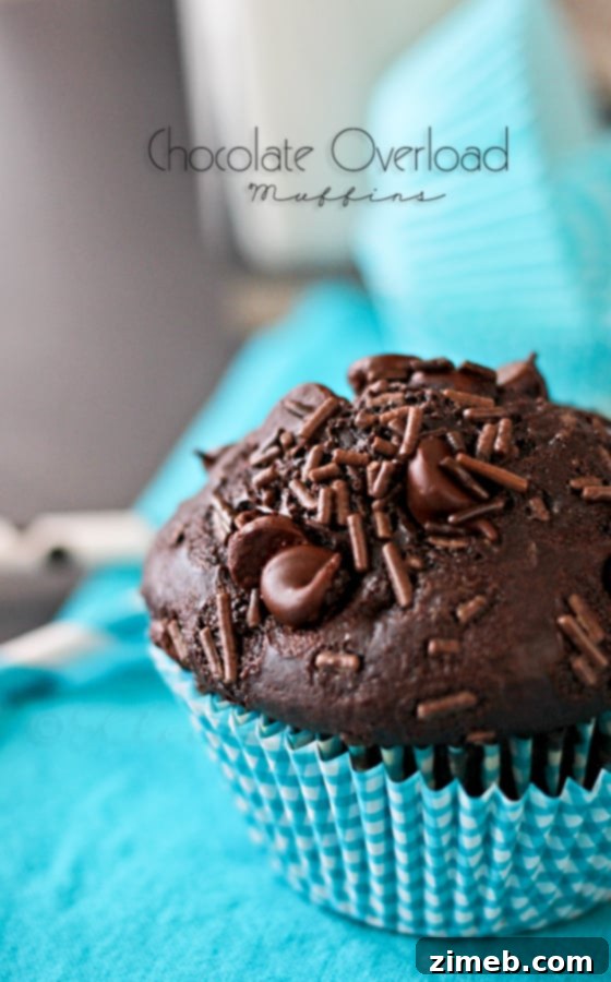 Free Printable Hot Coffee Bar Sign 9 Rich Chocolate Overload Muffins recipe with coffee
