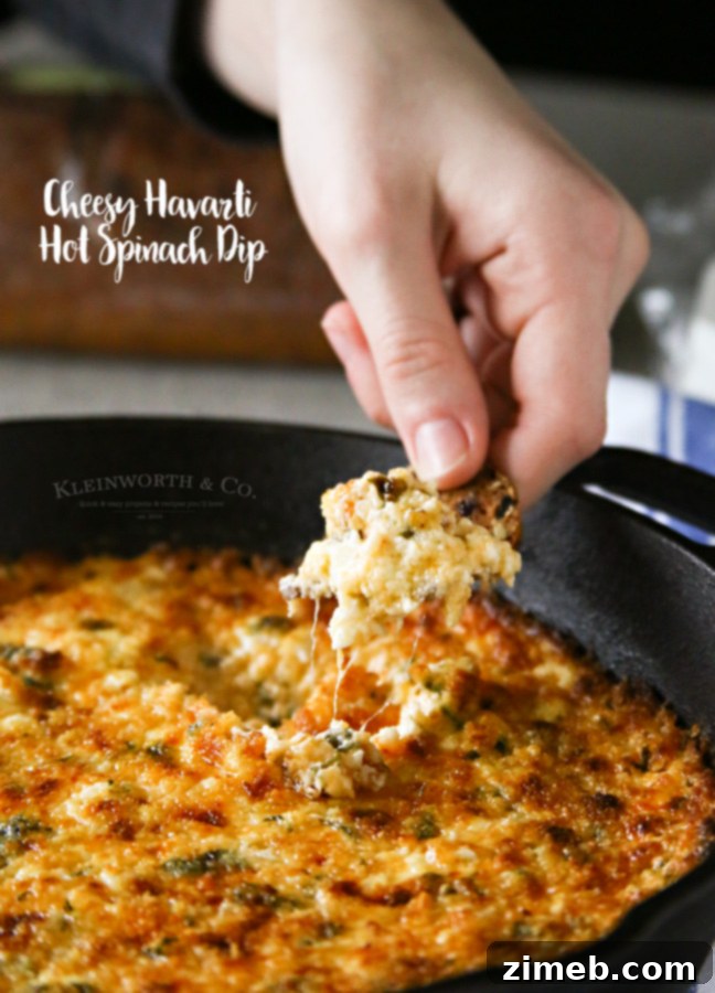 Velvety Hot Havarti Spinach Dip 6 Cheesy Havarti Hot Spinach Dip ready to be served from a skillet with various dippers.