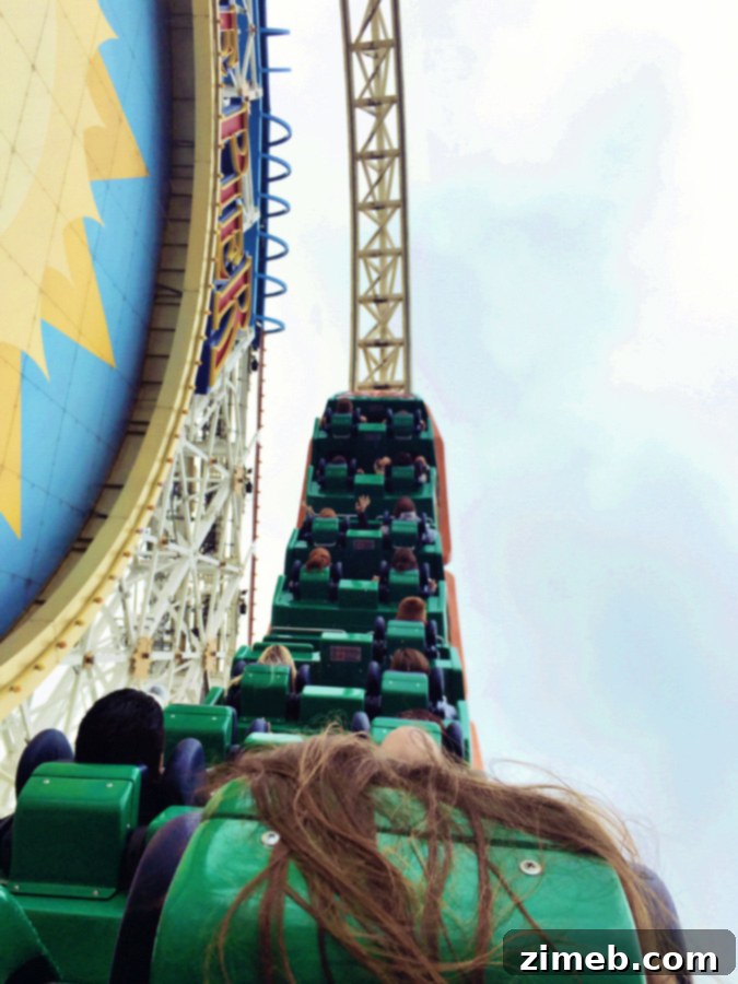 Busch Gardens roller coaster, Tampa Bay - thrill for older kids.