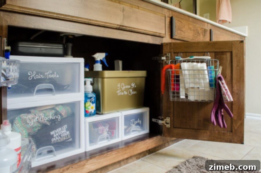 Organized Under Sink Cabinet