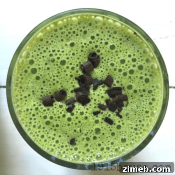 Indulgent Low Carb Mint Chip Smoothie