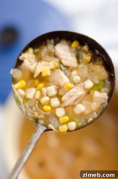 20 Light and Luscious Meals 7 Spicy Turkey Sweet Corn Soup - Hearty & Healthy Dinner Soup