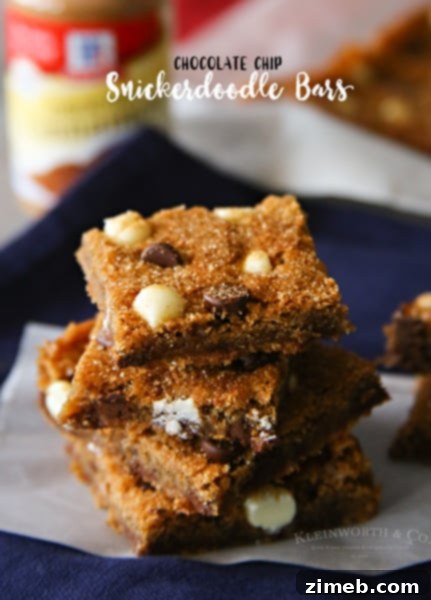Light & Luscious Double Chocolate Brownies 4 Chocolate Chip Snickerdoodle Bars - a sweet and satisfying dessert