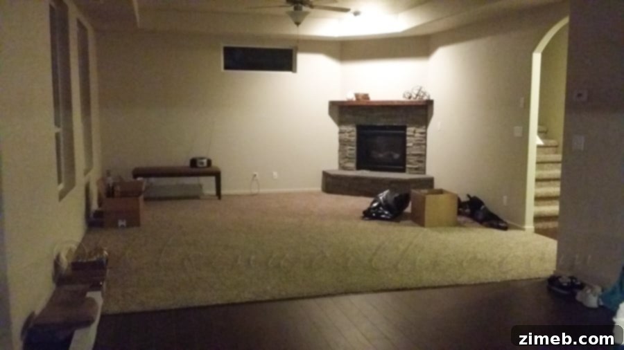 Rustic Barn Door - Before and After Transformation