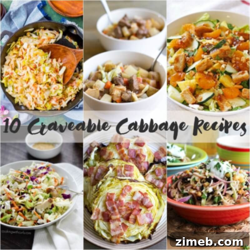 Pastrami Relish Hotdog 9 Collection of delicious Cabbage Recipes for every occasion