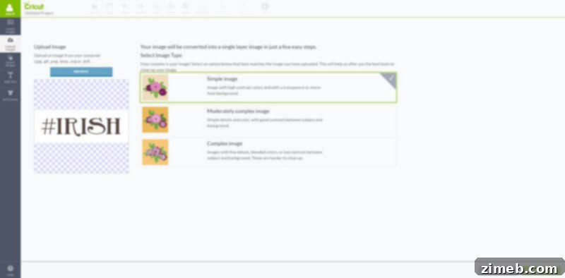 Cricut Upload Process: Selecting 'Simple Image'