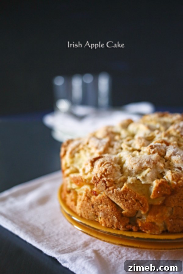 Traditional Irish Apple Cake recipe image.