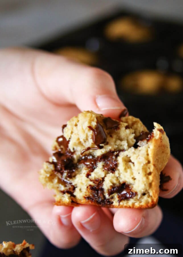 Chocolate Chip Blender Muffins