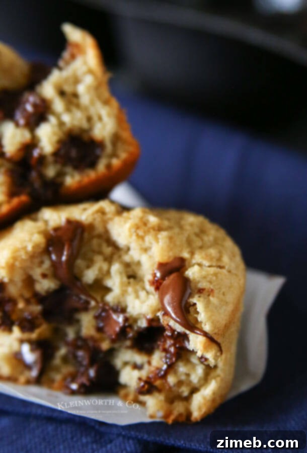 Chocolate Chip Blender Muffins