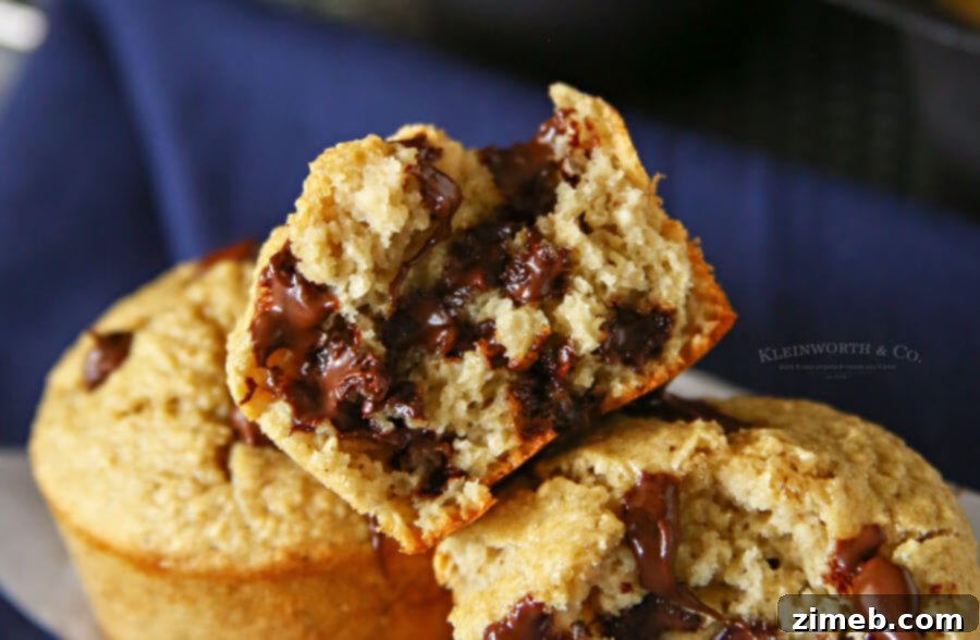 Chocolate Chip Blender Muffins