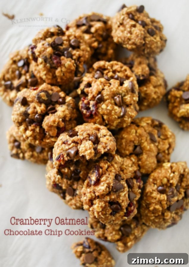80 Irresistible Chocolate Chip Cookie Creations 10 Cranberry Oatmeal Chocolate Chip Cookies