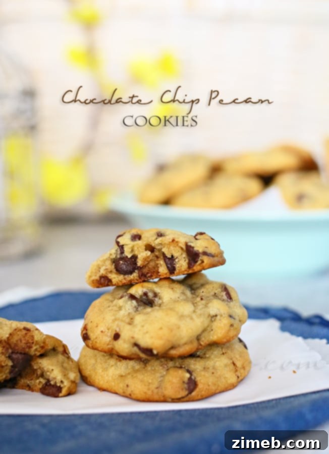 80 Irresistible Chocolate Chip Cookie Creations 9 Chocolate Chip Pecan Cookies