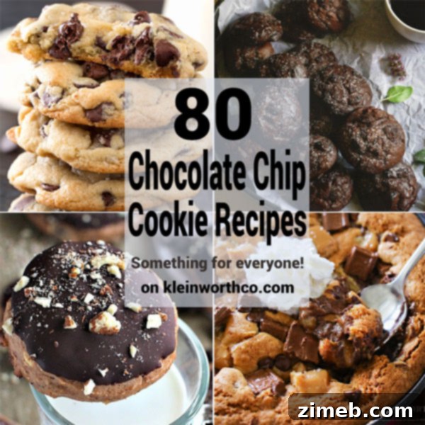 80 Irresistible Chocolate Chip Cookie Creations 12 80 Chocolate Chip Cookie Recipes