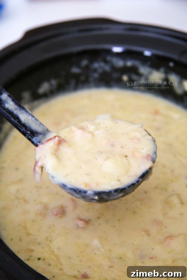 Close-up of Slow Cooker Clam Chowder simmering, rich and creamy.