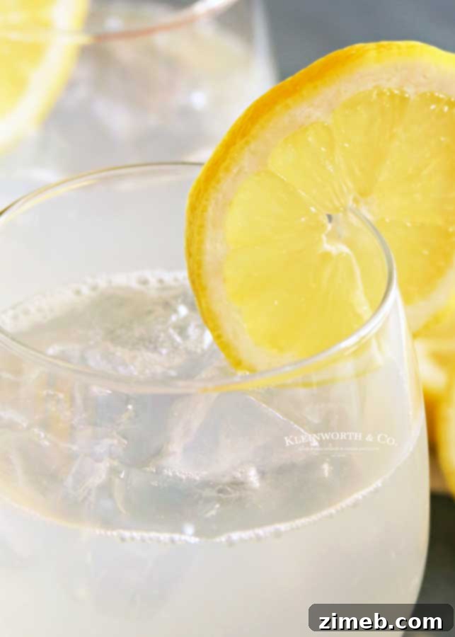 Mexican Limonada 3 Cinco de Mayo - Easy Mexican Lemonade