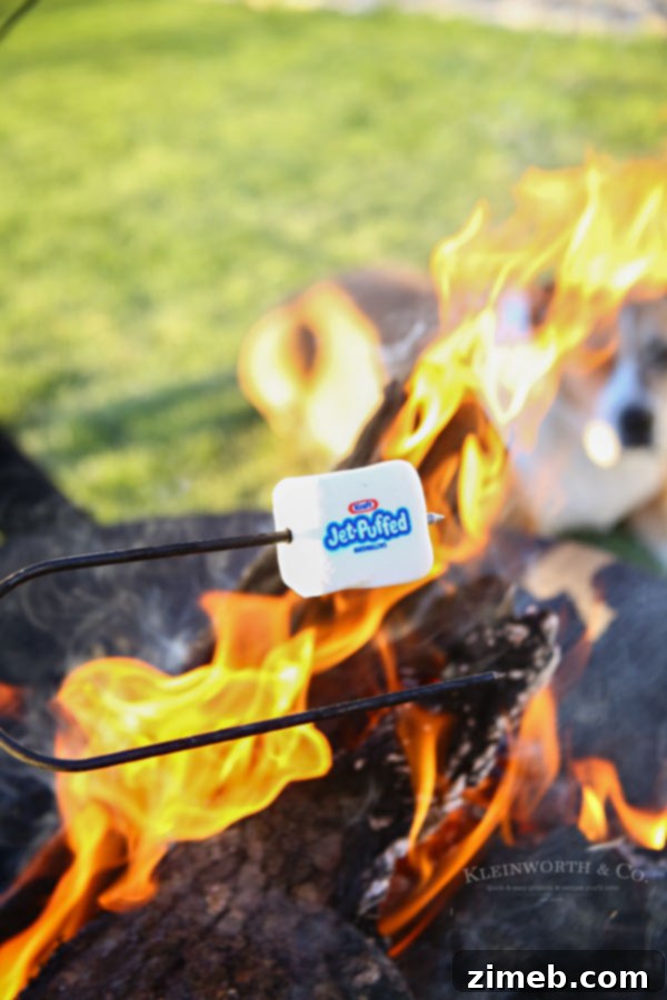 Free Printable S'mores Party Invites 7 A hand holding a roasting stick with a marshmallow over a fire, ready for S'mores.