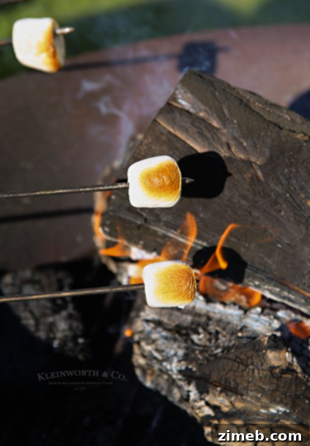 Free Printable S'mores Party Invites 9 Close-up of marshmallows toasting over a fire, creating a perfect golden crust.