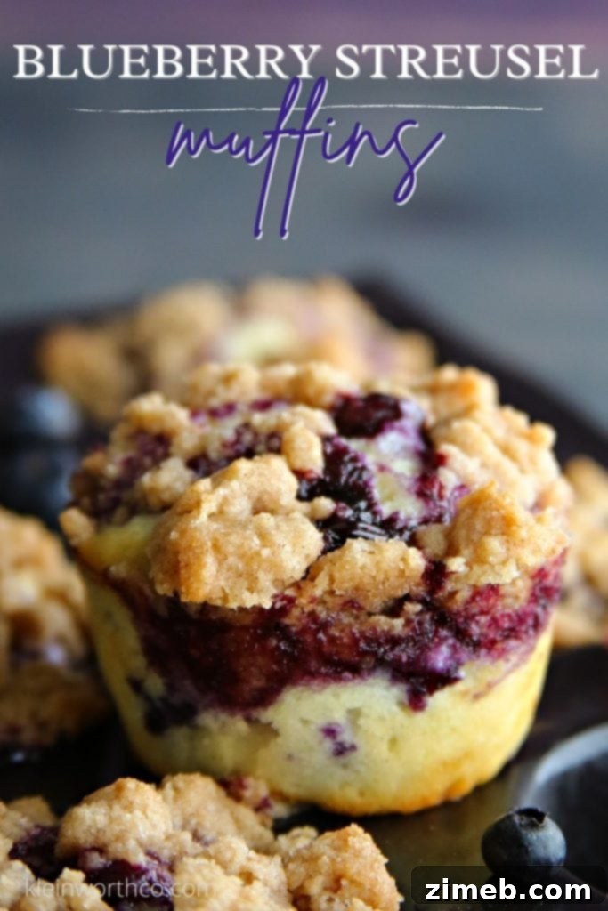 Best Blueberry Streusel Muffins - Family Favorite Recipe