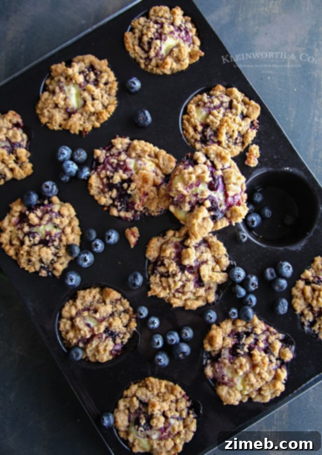 The Best Blueberry Streusel Muffins - Moist and Flavorful