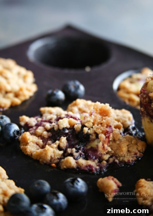 Recipe for the Best Blueberry Streusel Muffins - with Crumb Topping