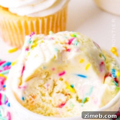 Birthday Cake ice cream