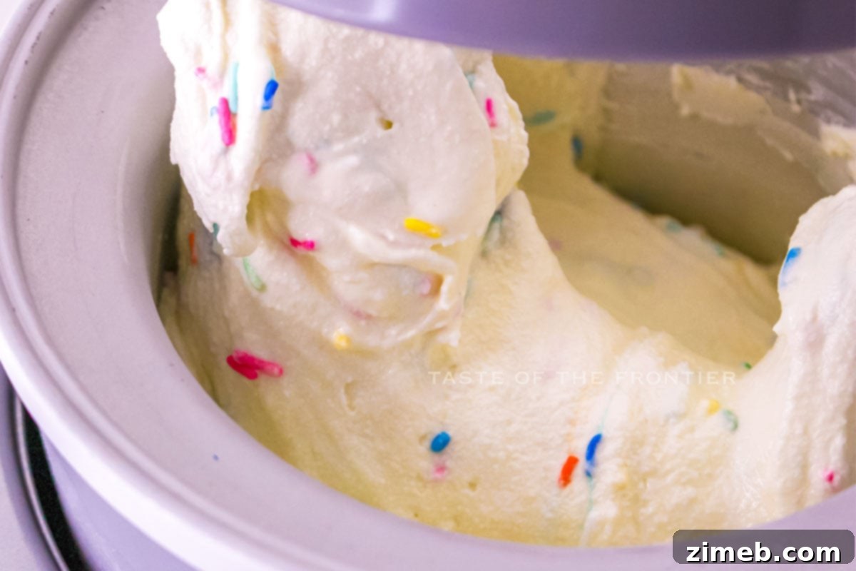 Party Cake Perfection 7 churning with sprinkles