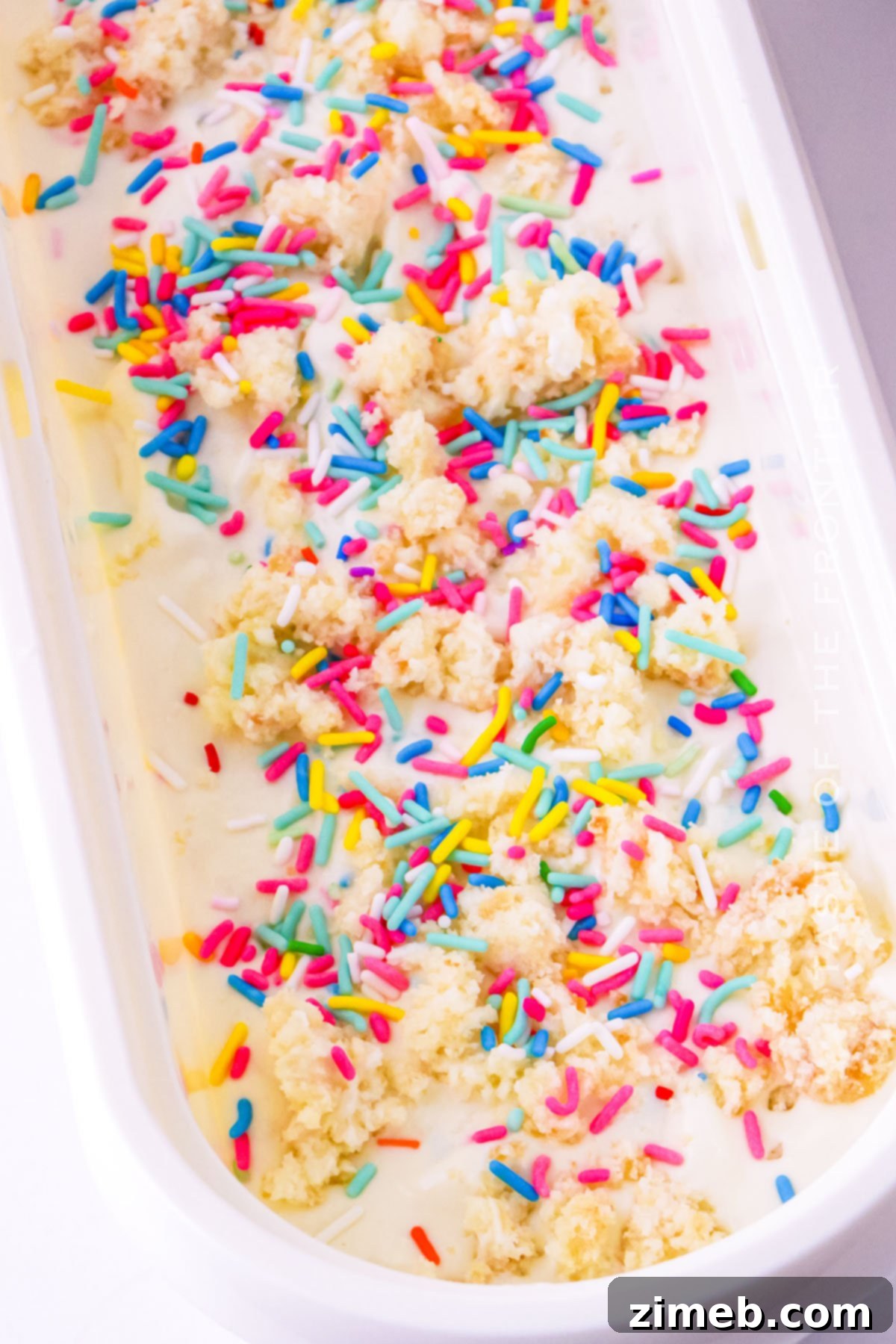 Party Cake Perfection 8 how to make Birthday Cake ice cream