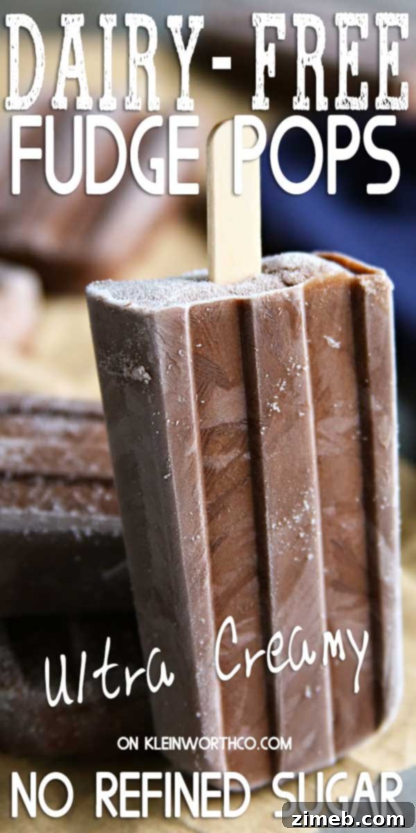 Velvet Vegan Fudge Pops 2 Dairy-Free Fudge Pops: The perfect summertime frozen treat, made with creamy coconut milk and no refined sugar. Ultra-creamy and utterly delicious!