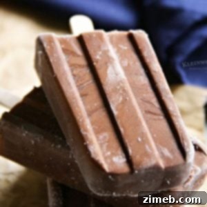 Velvet Vegan Fudge Pops 11 Dairy-Free Fudge Pops